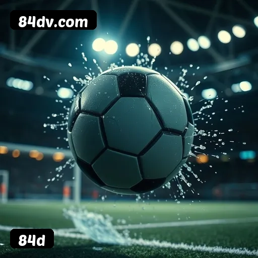 84d APP mobile iOS Android - 187 mil downloads São Paulo Rio BH